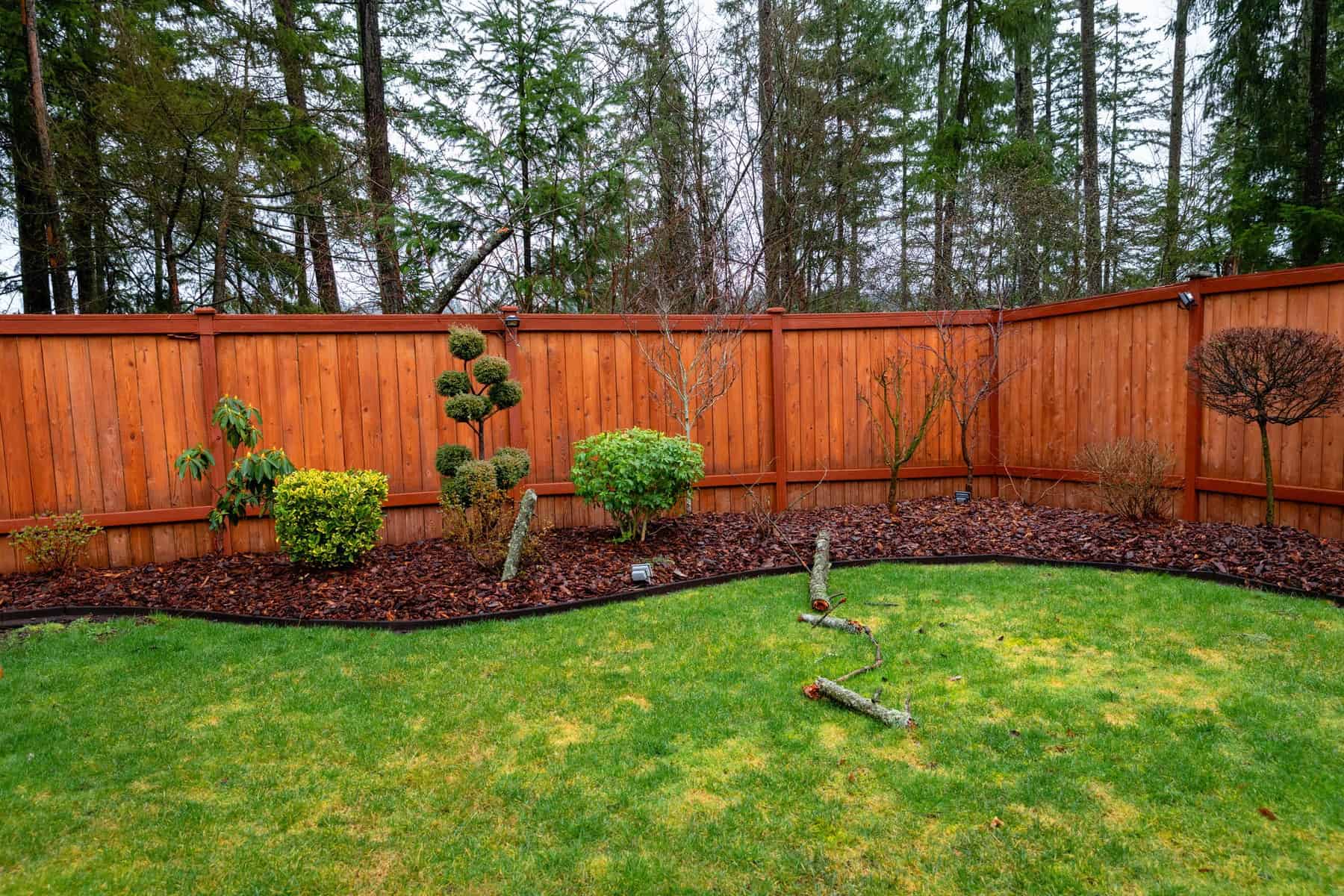 Orange Stained Wood Fence Orange-stained wooden fence with vertical board siding enclosing backyard landscape in Raleigh, NC