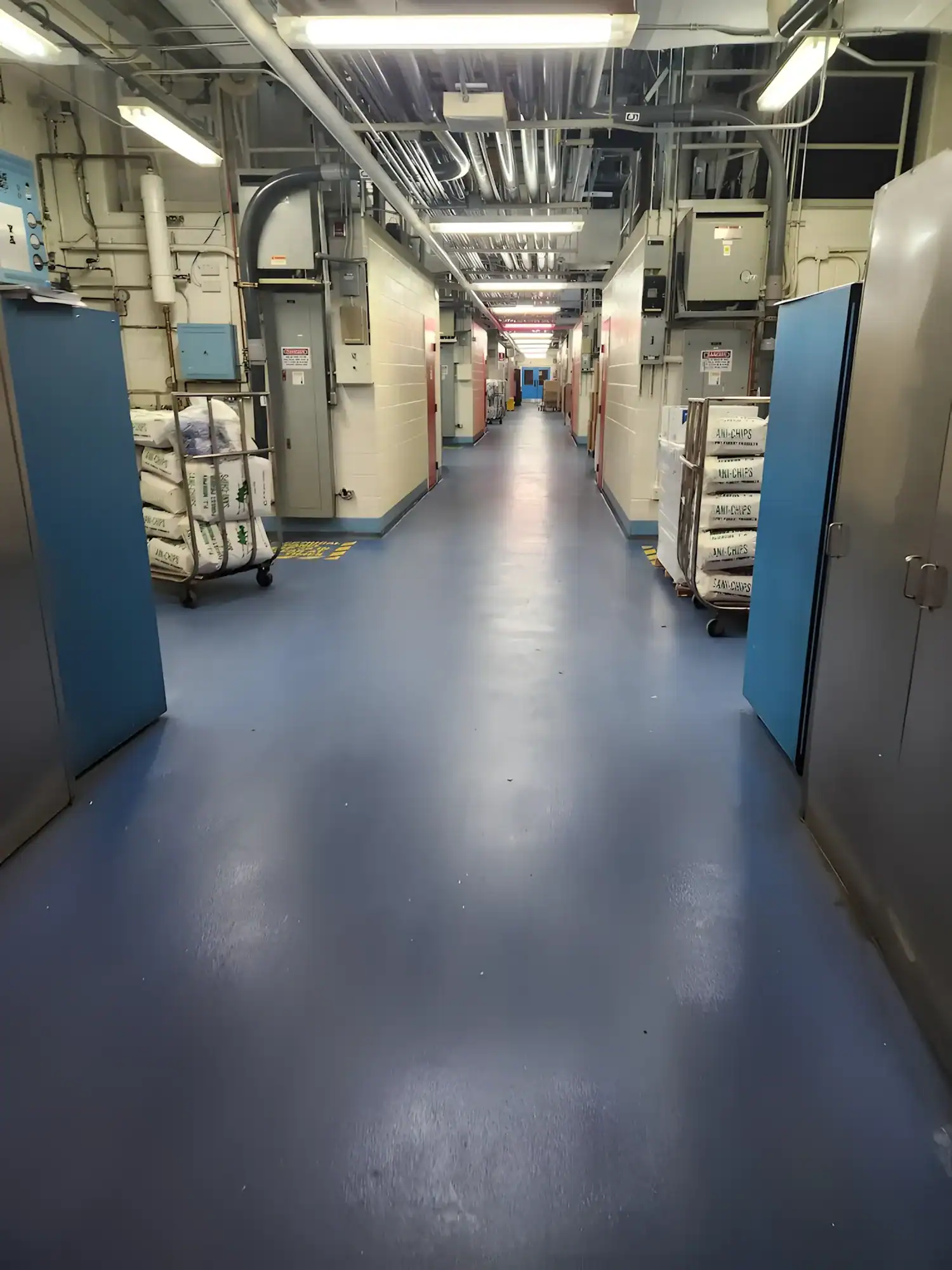 Blue Epoxy Commercial Corridor Blue epoxy-coated commercial corridor with white painted walls, industrial ceiling, and utility equipment
