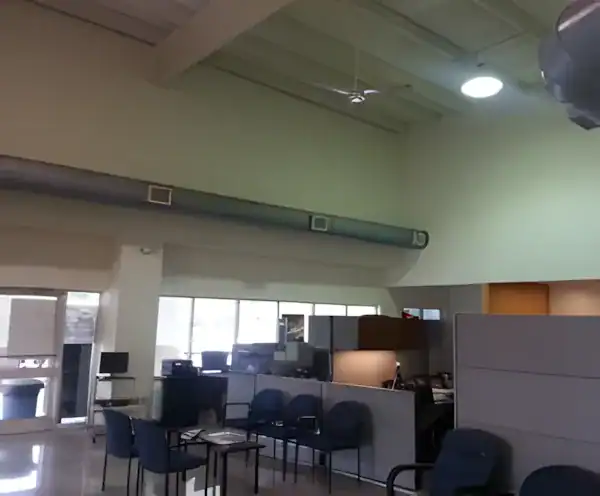 Sage Green Commercial Office Space Sage green-painted commercial office interior with drop ceiling, recessed lighting, and modern workstations